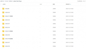 adobe flash player 29 - 30 各种版本插件
