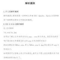 解析漏洞 网络安全CTF PDF资料免费阅读