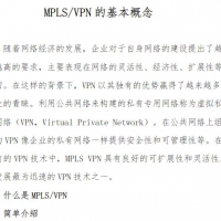MPLS/VPN 的基本概念 PDF教程资料在线阅读