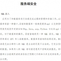 服务端安全.pdf 网络专业技术PDF资料在线免费阅读
