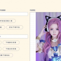 38贡献 TikTok抖音下载工具_v5.4 绿色版