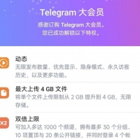 98贡献 Telegeam最新纸飞机破解，内置魔法梯子，正常使用 + MT管理器