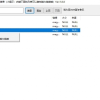 2贡献 灯笼搜索Vre 1.0.0 磁力搜索 资源大师 磁力链
