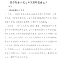 缓存的基本概念和常用的缓存技术 PDF在线免费阅读