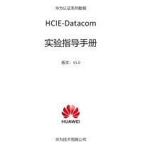 HCIE-Datacom V1.0 实验手册 PDF 在线免费阅读及下载