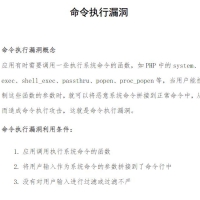 命令执行漏洞 网络安全CTF资料PDF在线阅读