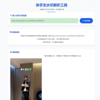 ★★★98贡献 快手无水印解析工具 快手无水印解析源码