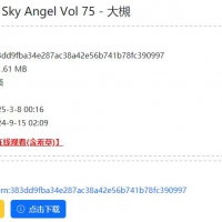 2贡献 ★一个可用的磁力站 直接显示资源BT magent链接