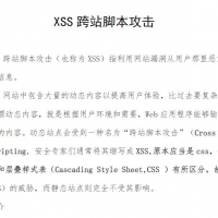 XSS跨站脚本攻击 CTF现场竞技PDF资料免费阅读
